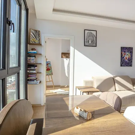 公寓 Bright And Cozy With City View In Besiktas