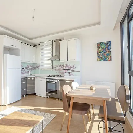 公寓 Bright And Cozy With City View In Besiktas